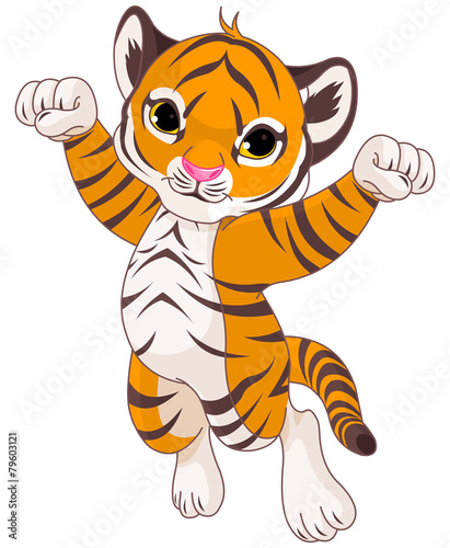 Cute tiger