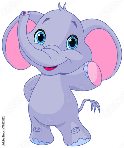Cute elephant