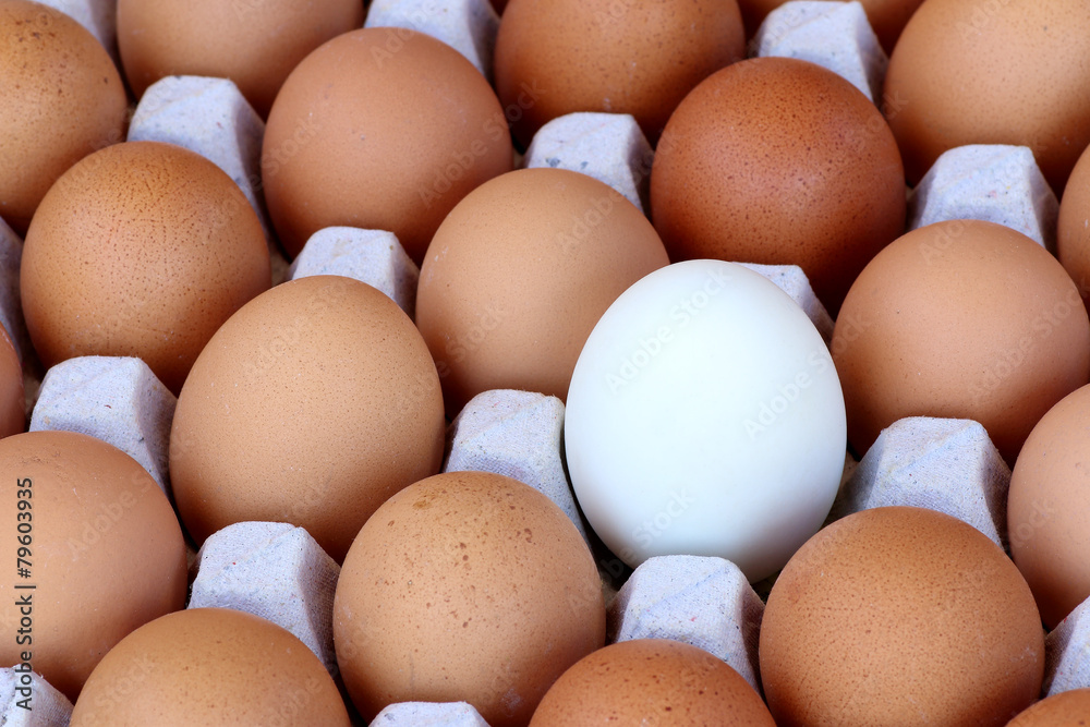 Chicken brown egg closeup view background Chicken brown egg closeup view background