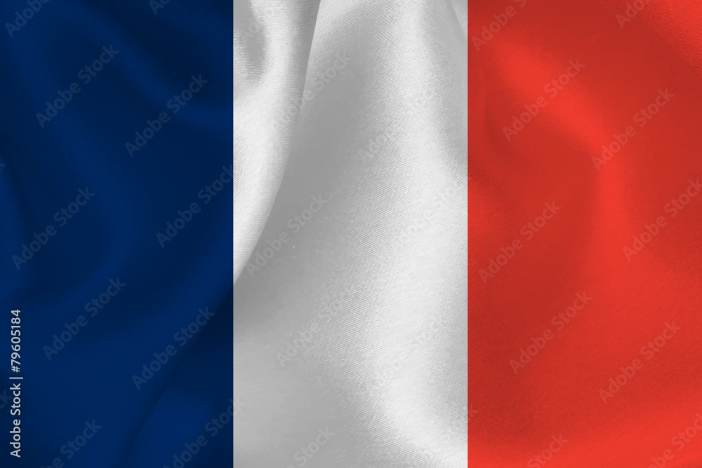フランス　 国旗　旗