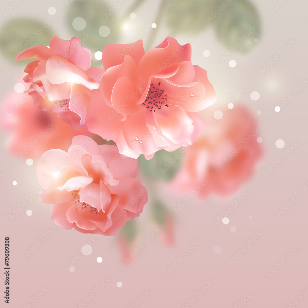 Shining vector flowers roses Shining vector flowers roses