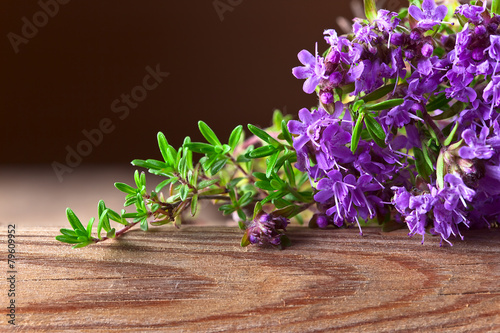 Bunch of a blossoming thyme