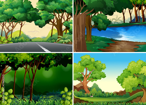 Forests