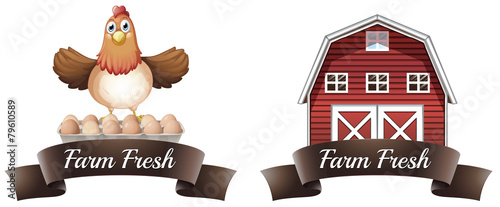 Farm