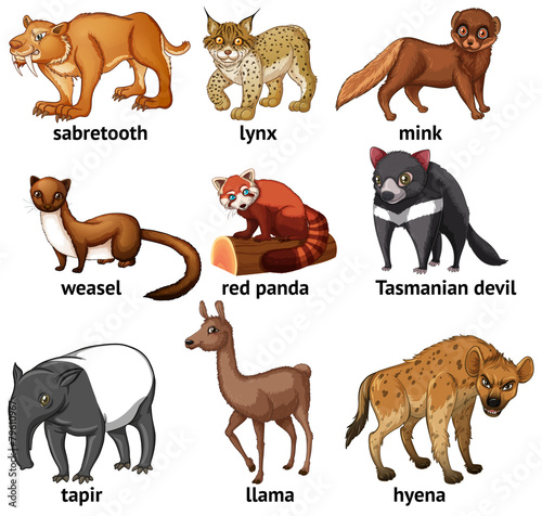 Rare animal