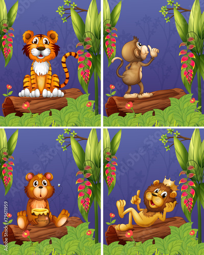 Animals