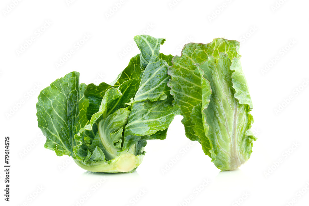 chinese broccoli on white background chinese broccoli on white background