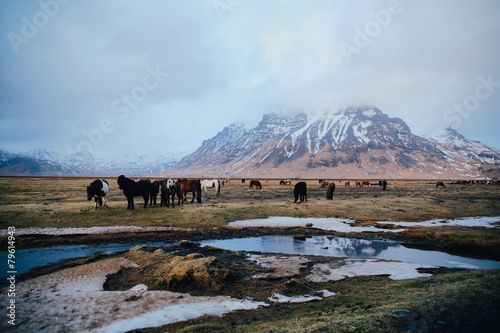 Islande