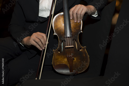 violin musician photo