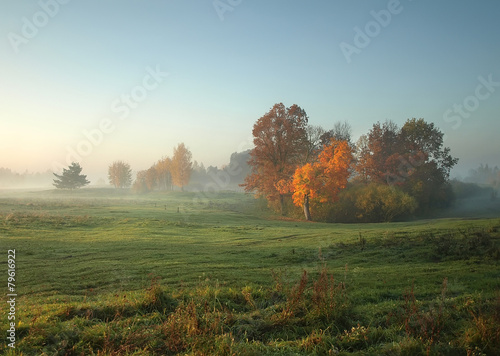 autumn foggy landscape