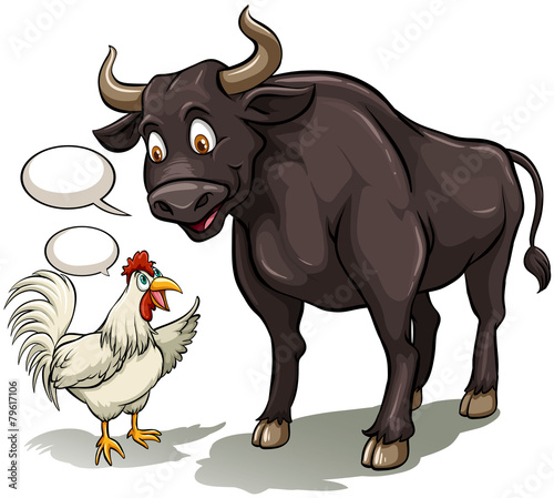 Bull and a cock
