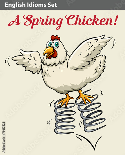 English idiom showing a spring chicken