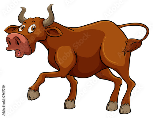 Big brown bull