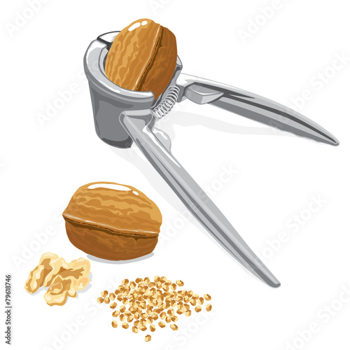 Vector Nutcracker with nuts