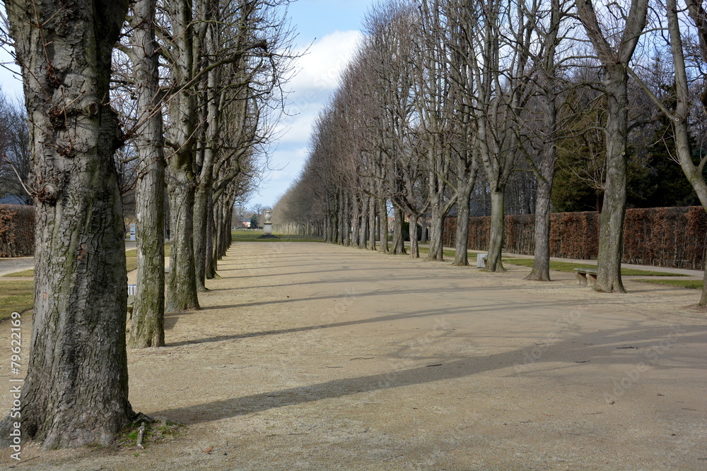 Allee im Schlosspark Pillnitz