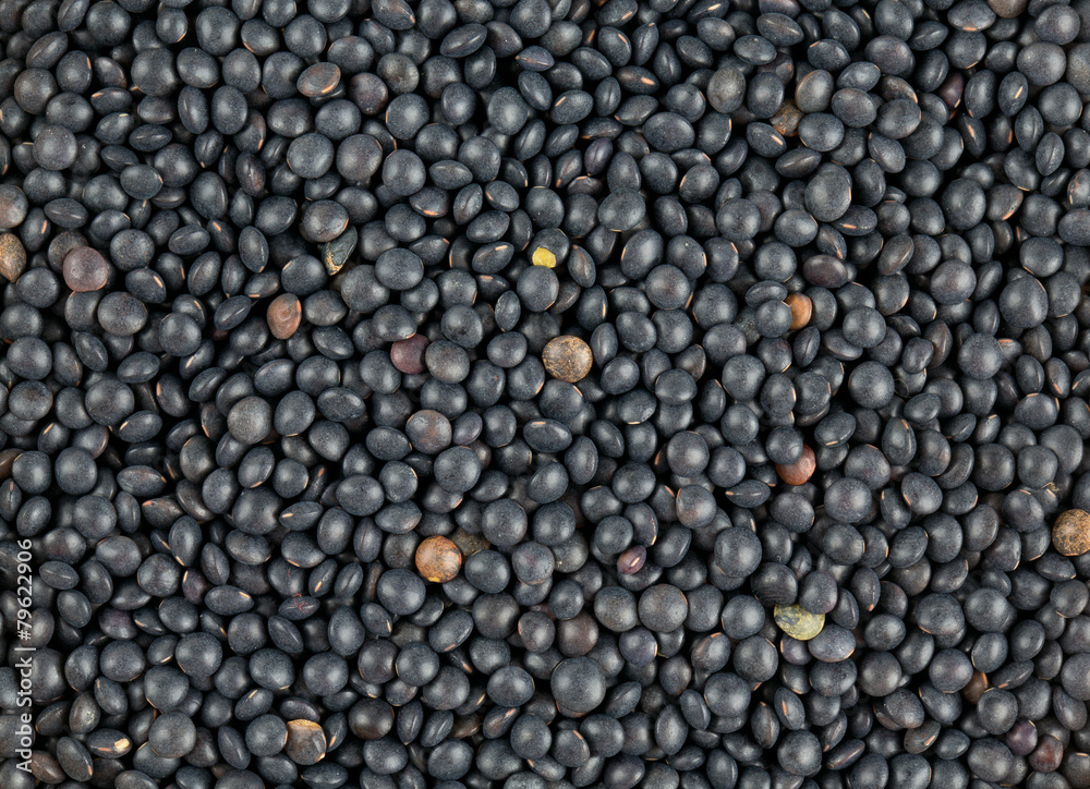 black lentils black lentils