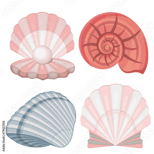 seashells.pearl.