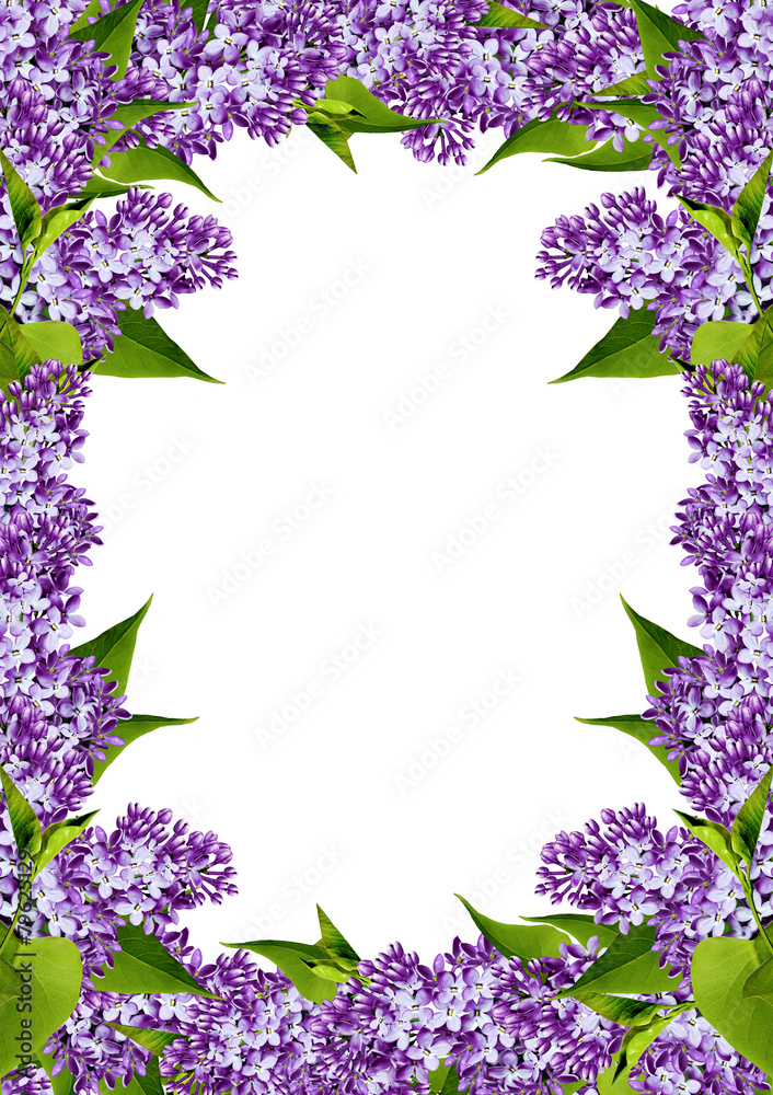 floral frame of spring flowers lilac floral frame of spring flowers lilac