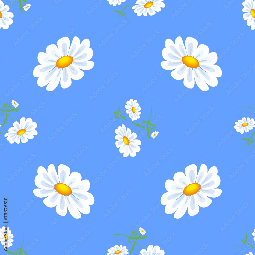 Obraz premium White daisies.