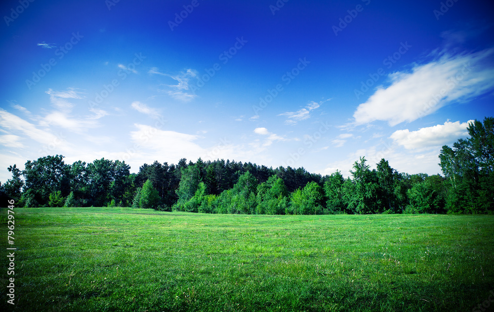 Beautiful spring field with the blue sky Beautiful spring field with the blue sky