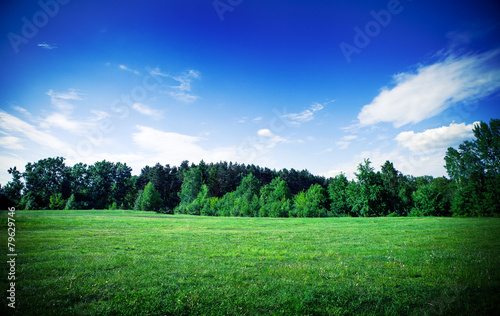 Beautiful spring field with the blue sky