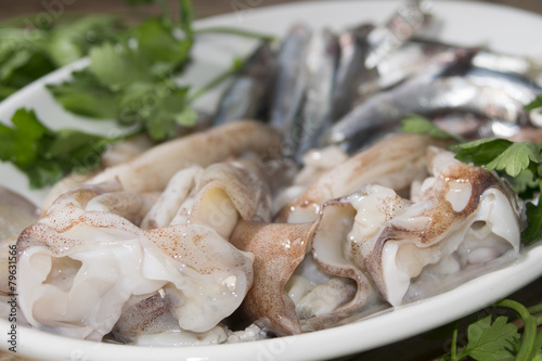 anchovies and squids of the mediterranean