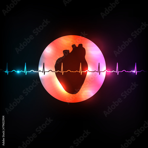 Healthy heart in the round shape and normal heart beat rhythm