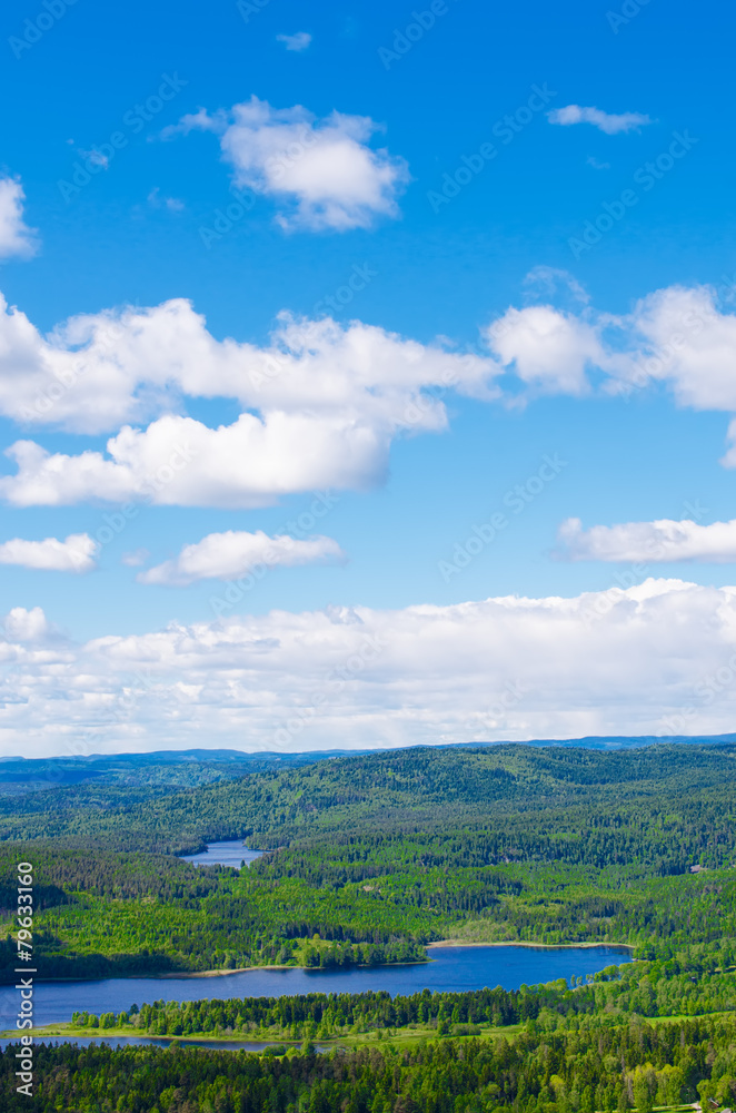 Norway forest and lakes vertical Norway forest and lakes vertical