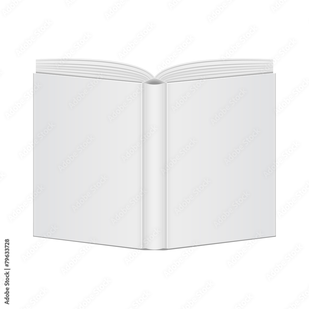 open book blank cover view back Stock Vector