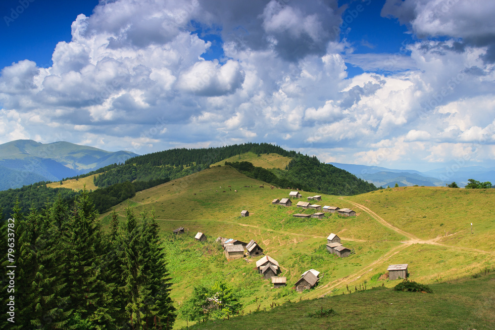 Barn for sheep on the meadow Menchul. Carpathians.