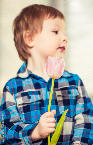 little boy with pink tulip