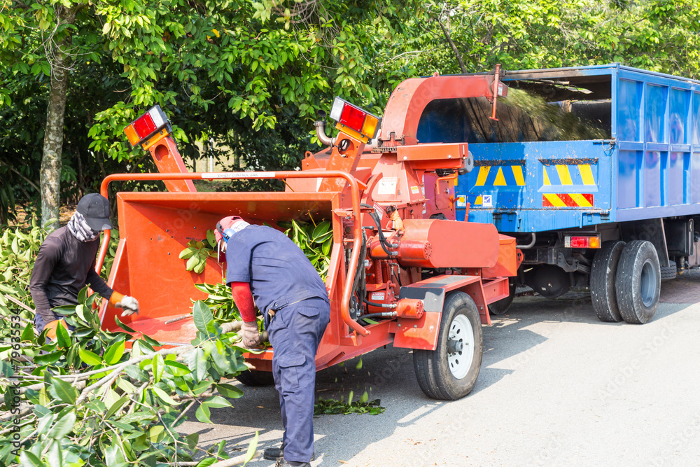 Obraz premium Workers loading tree into the wood chipper to shed
