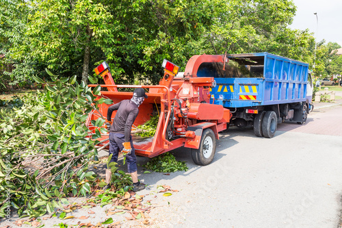 Workers loading tree into the wood chipper to shed photo