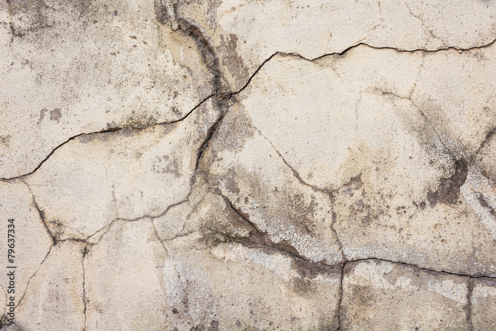 Obraz premium wall background, texture