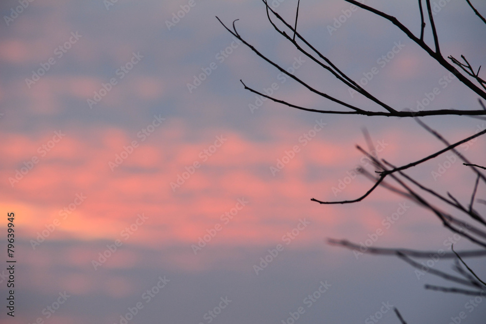 Fototapeta premium Sunset