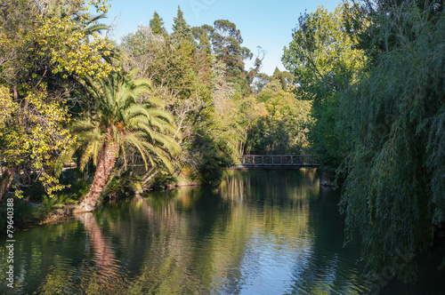 Lake and wooden bridge in a park