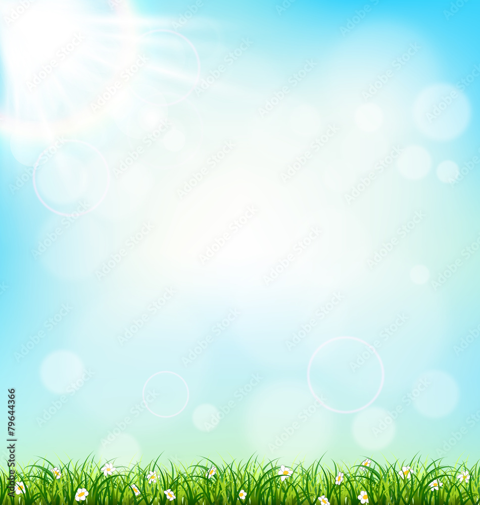 Green grass lawn with chamomiles on blue sky. Floral nature spri Green grass lawn with chamomiles on blue sky. Floral nature spri