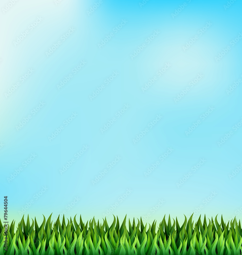 Fototapeta premium Green grass lawn on blue sky. Floral nature spring background