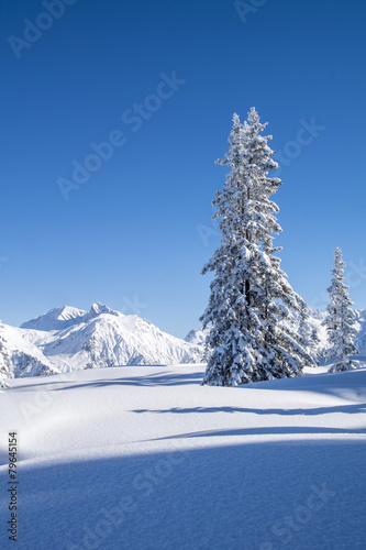 Winterlandschaft n den Alpen