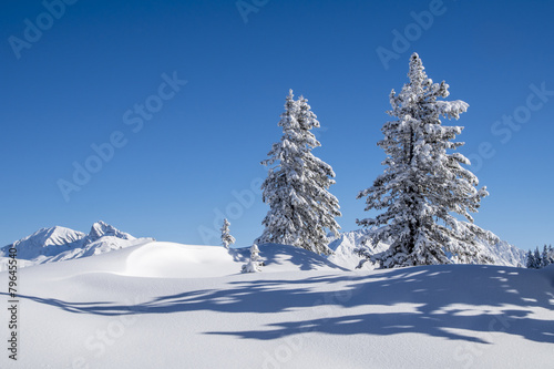 Winterlandschaft © Netzer Johannes