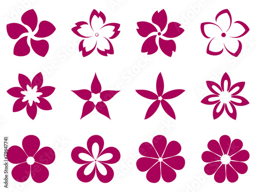 Fototapeta Naklejka Na Ścianę i Meble -  Unusual flowers vector set