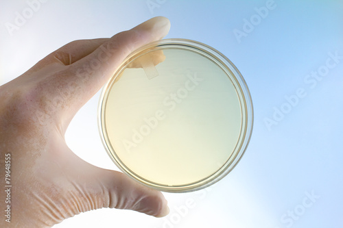 Foto scientist with a hand holding a petri dish