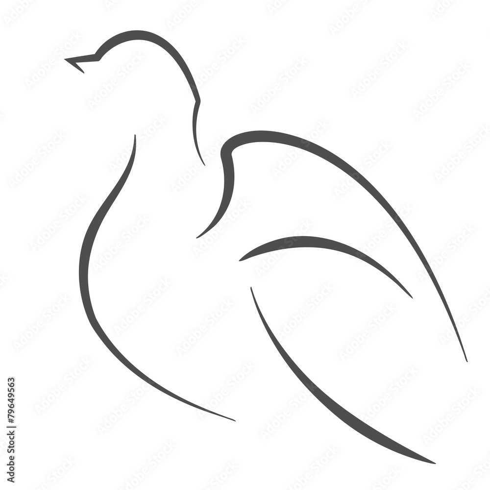 Dove outline Stock Vector | Adobe Stock