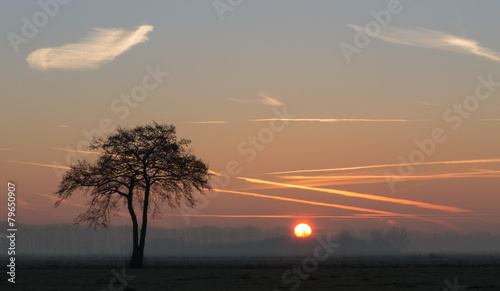 Zonsopkomst met solo boom.