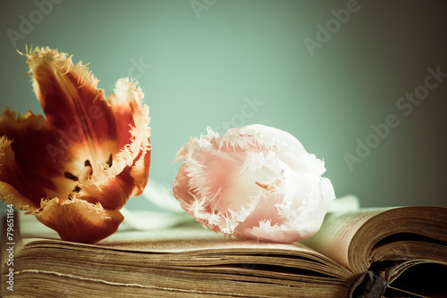 Fototapeta Naklejka Na Ścianę i Meble -  tulup flowers on vintage book