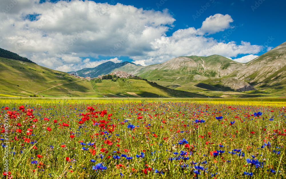 Piano Grande summer landscape, Umbria, Italy
