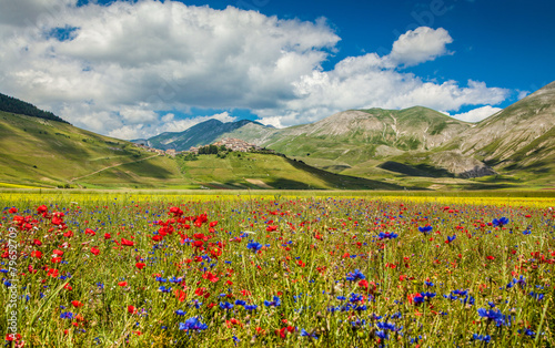 Piano Grande summer landscape, Umbria, Italy photo