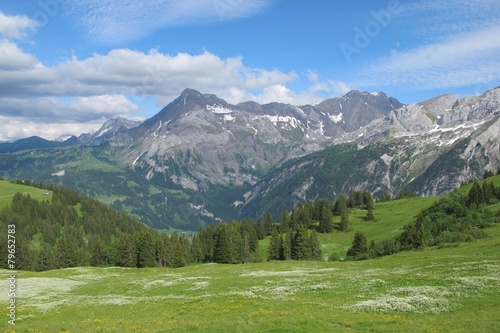 Summer scene in the Bernese Oberland