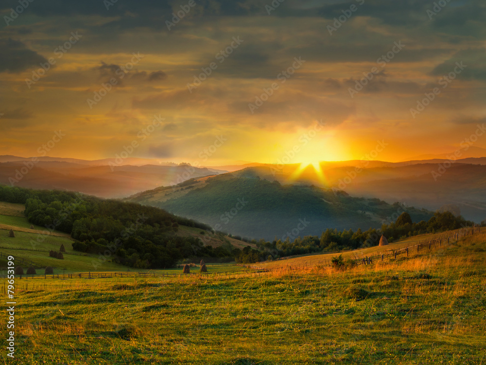 Fototapeta premium Wild plants and stack of hay at sunset