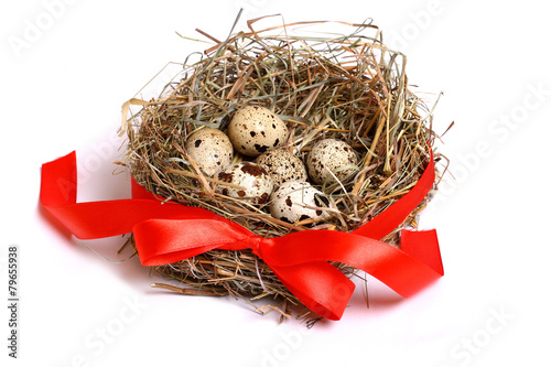 Eggs in the nest